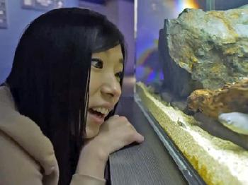 「恥ずかしいから撮らないでよぉ…」カップルデート＆ハメ撮りのエロ動画