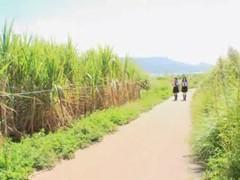 修学旅行先で迷子になった女子校生が地元民に強姦されるレイプのエロ動画